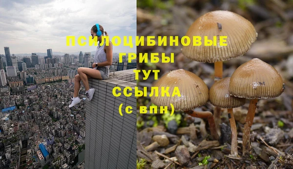метадон Алексеевка