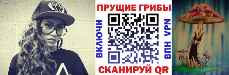 блэк спрут купить закладку Кыштым мориарти телеграм Псилоцибиновые грибы Cubensis